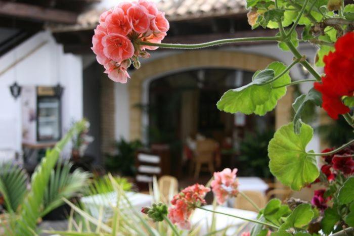 Hostal Torre de Guzmán Conil De La Frontera Exterior foto